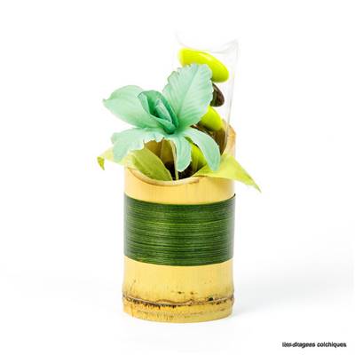 bambou tube pour dragées avec tubo et orchidée