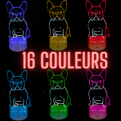 Lampe de chevet LED 3D - Animal Chien Bouledogue | Veilleuse, Décoration Maison, Cadeau Personnalisé Anniversaire et Noël