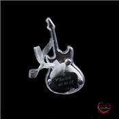 Guitare en plexiglas grave et personnalise 