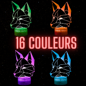 Lampe de chevet LED 3D - Animal Renard | Veilleuse Enfant, Décoration Chambre, Cadeau Personnalisé Anniversaire et Noël